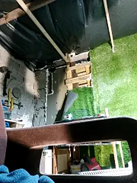 Czarnoksieznik webcam