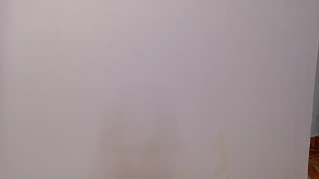 RiriiBrunette__ webcam