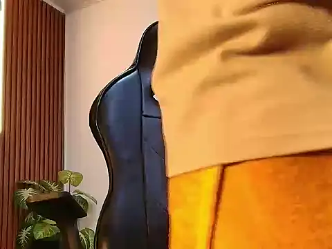 Oliver_Laurent_ webcam