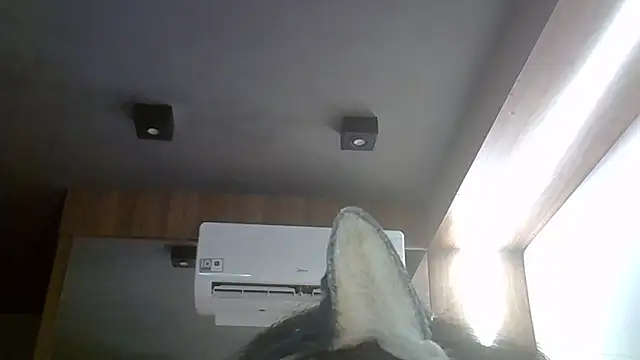 SkinnyKitten webcam
