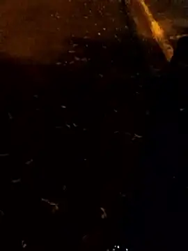 ElicitedMotive webcam