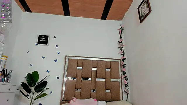 kendall-ewers webcam