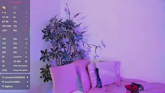 CatalinaBlaze webcam