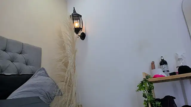 bruno_miller_ webcam