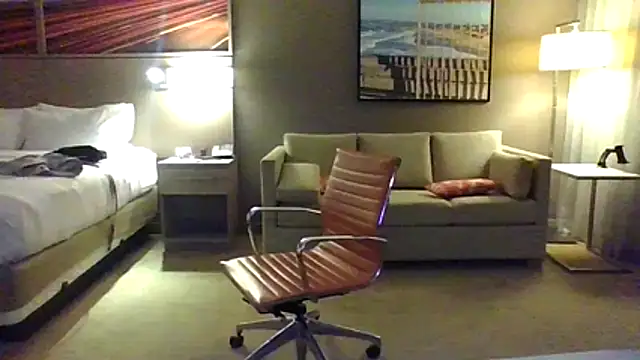 ValuedConcept687 webcam