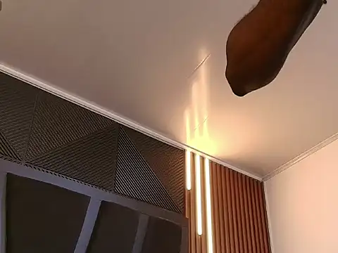 Oliver_Laurent_ webcam