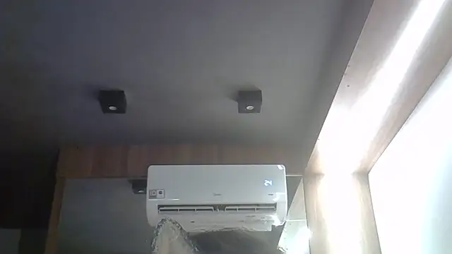 SkinnyKitten webcam
