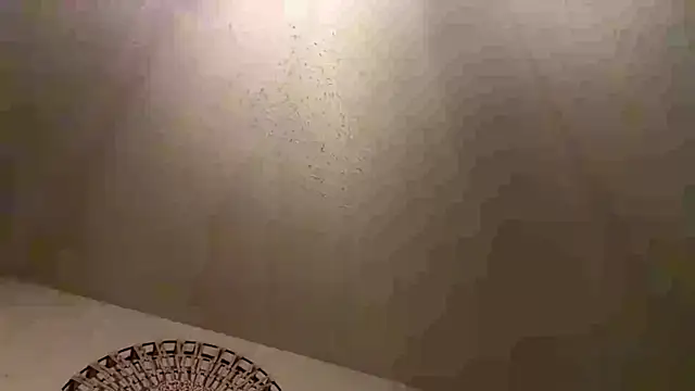 KungFuPanda001 webcam