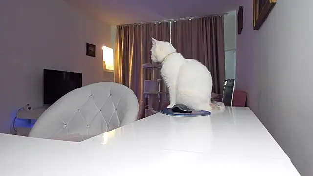 xqueenyasmine webcam