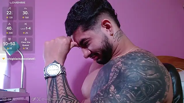 king_falconer webcam