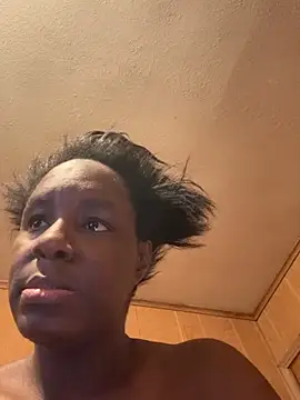 saltlightEmber webcam