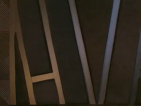 Oliver_Laurent_ webcam