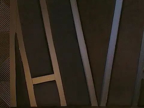 Oliver_Laurent_ webcam