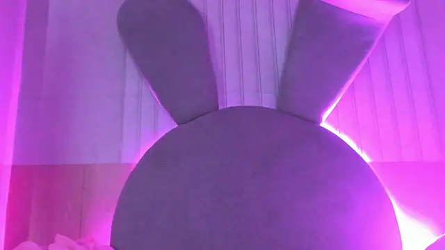 Kendall_curves webcam