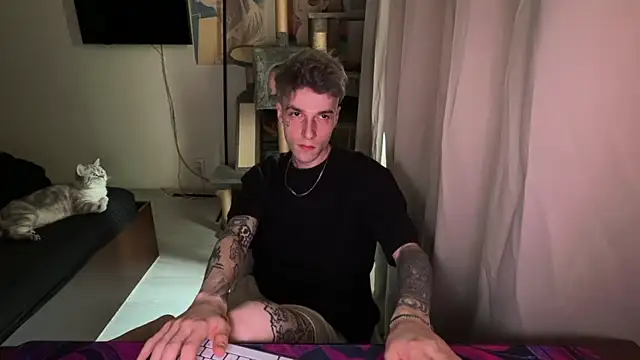 davesinner webcam