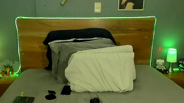 Prometeo-grizzly webcam