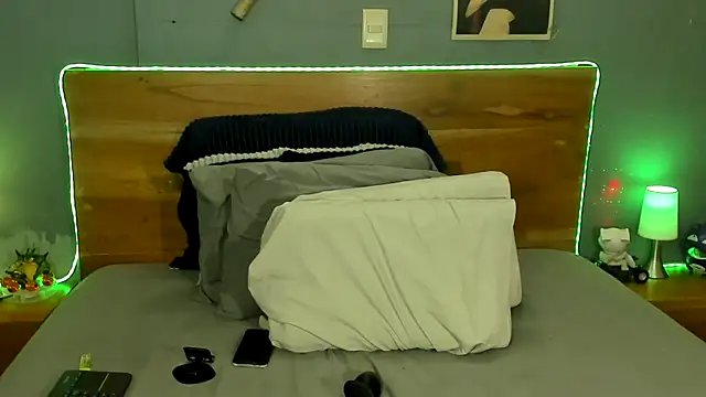 Prometeo-grizzly webcam