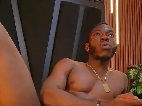 Oliver_Laurent_ webcam