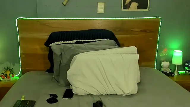 Prometeo-grizzly webcam