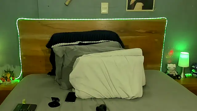 Prometeo-grizzly webcam