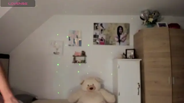 Veronikolsen- webcam