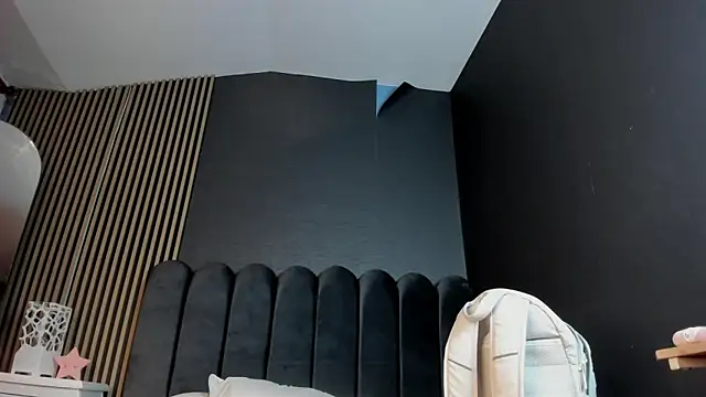 Nicolette_ks_ webcam