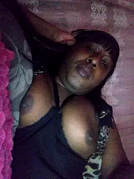 Hellentrans24 webcam