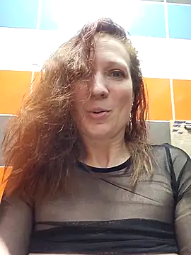 Exhibitionsplit webcam