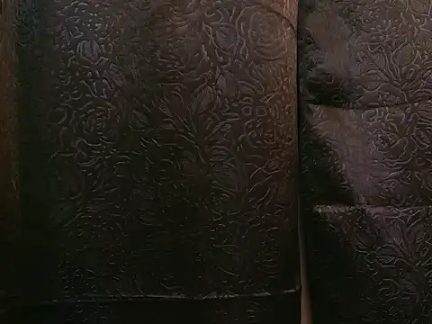 Oliver_Laurent_ webcam