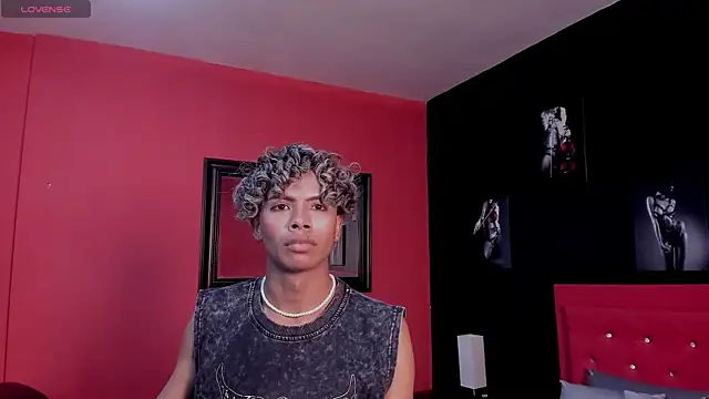 Henrikvermillion webcam