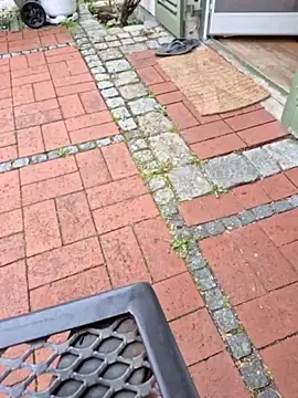 fuckerplayer1 webcam