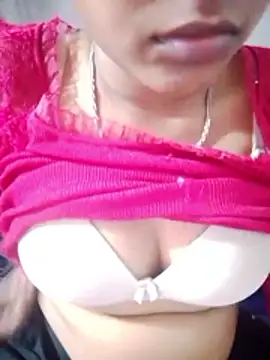 Sangvi-Pandey webcam