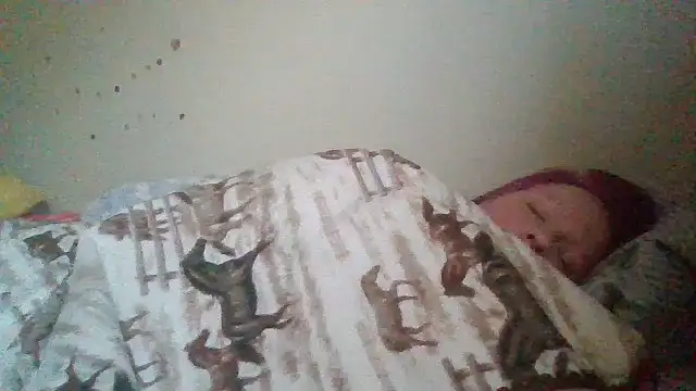 starlight1983 webcam