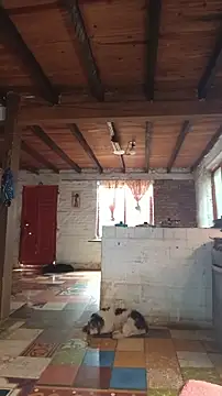 ChanneldelaCroix webcam