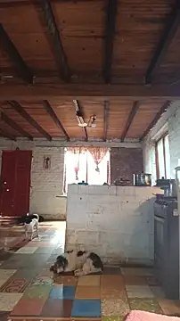 ChanneldelaCroix webcam