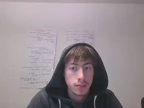 VelvetRagottiOG webcam