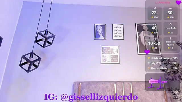 Liincostelloo webcam