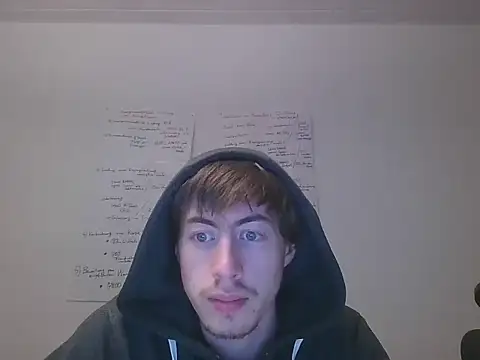 VelvetRagottiOG webcam