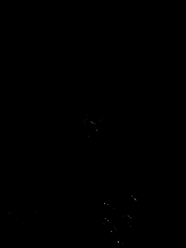 Webcam Model (Slim_Noor)  is live.Free join now!