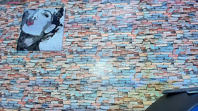 aaron_antonella_mds webcam