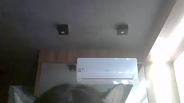 SkinnyKitten webcam