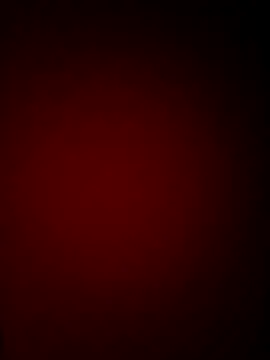 ranimodel--77 webcam