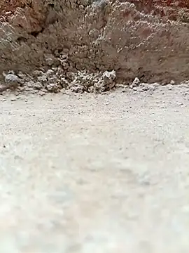 Rajni_chauhan webcam