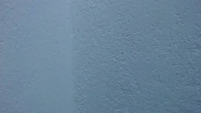 carolina_zabala_19 webcam