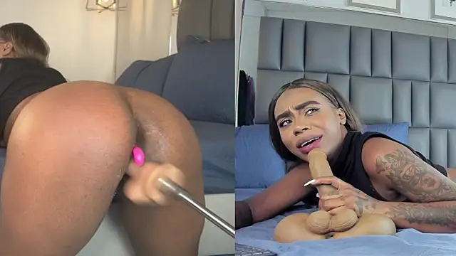 Kataleya_west webcam