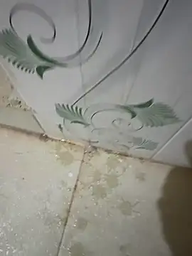 dickmaster8782 - Dickmaster8782's free webcam - UK Sex Cams