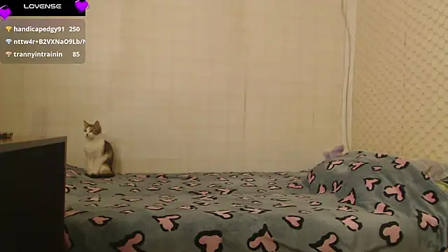 Janiffer_MiMi webcam