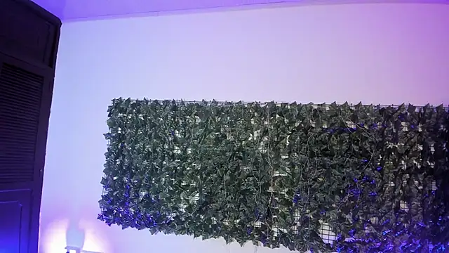 AbbyTaylorr's Stripchat show and profile