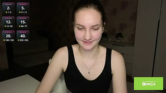 SamellaFlugum webcam