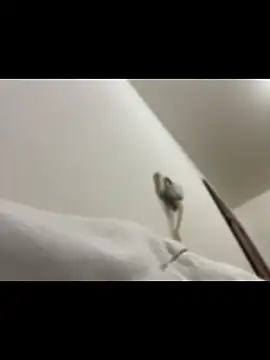 Czarnoksieznik live sex cam